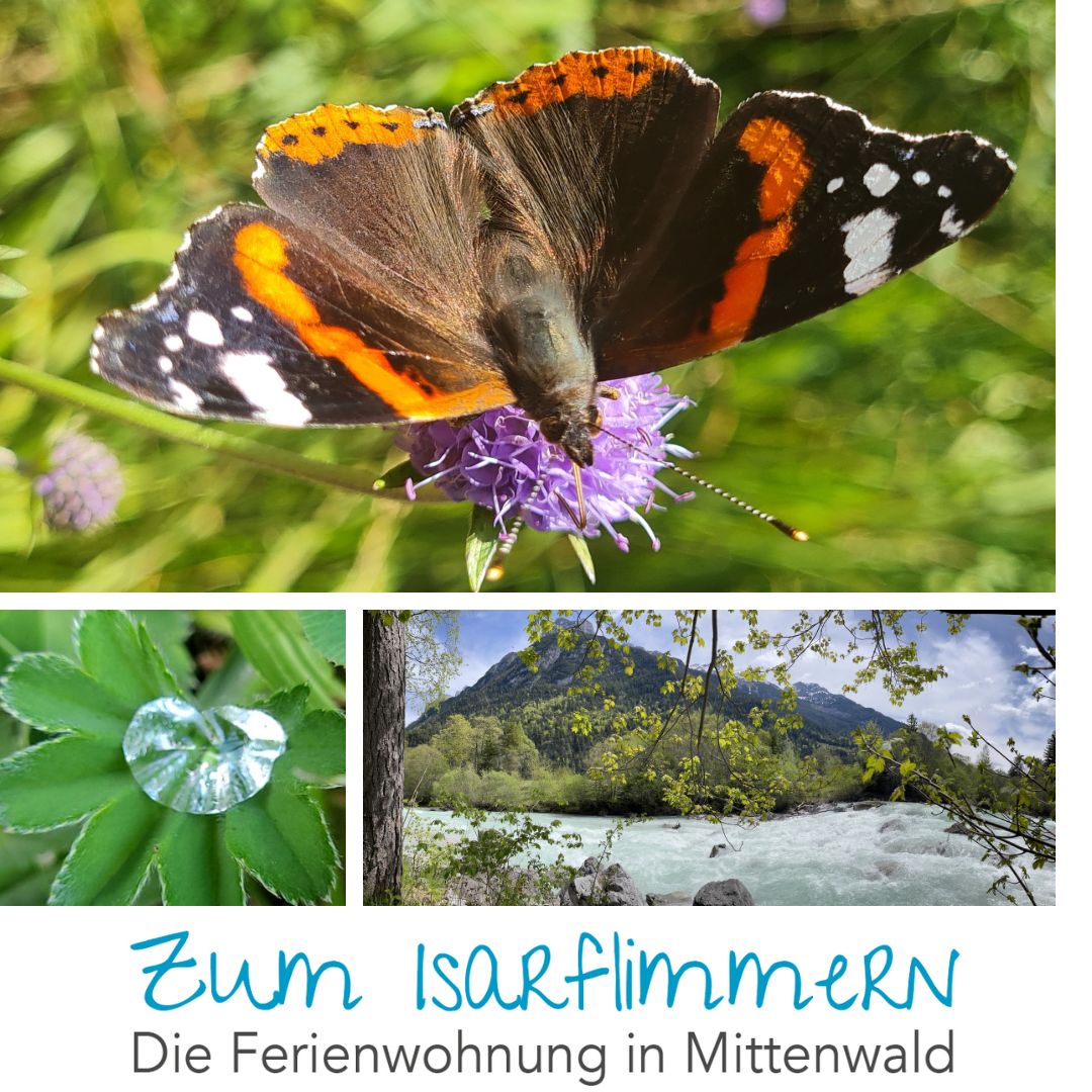 Natur erleben pur in Mittenwald